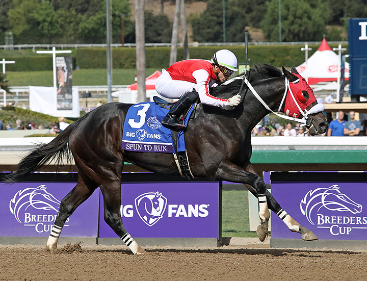 Spun to Run wins the 2019 Breeders Cup Dirt Mile at Santa Anita Park