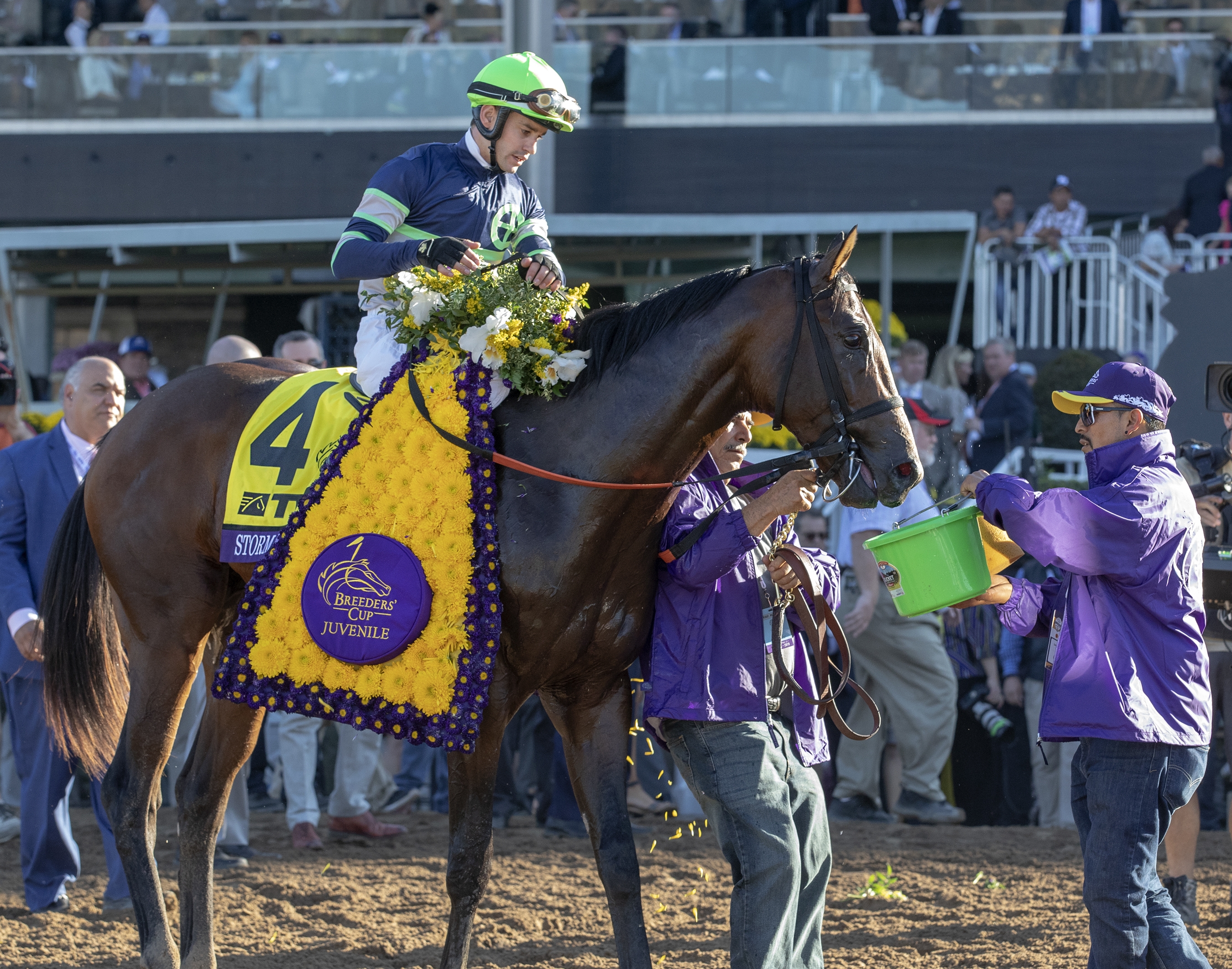 Storm the Court after 2019 BC Juvenile win