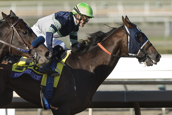 Storm the Court wins the 2019 Breeders Cup Juvenile at Santa Anita