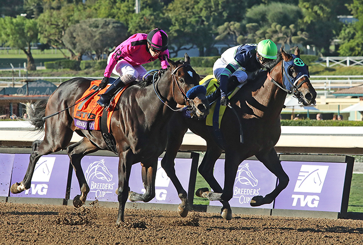 Anneau d'Or (left) finishes second in the Breeders' Cup Juvenile at Santa Anita Park