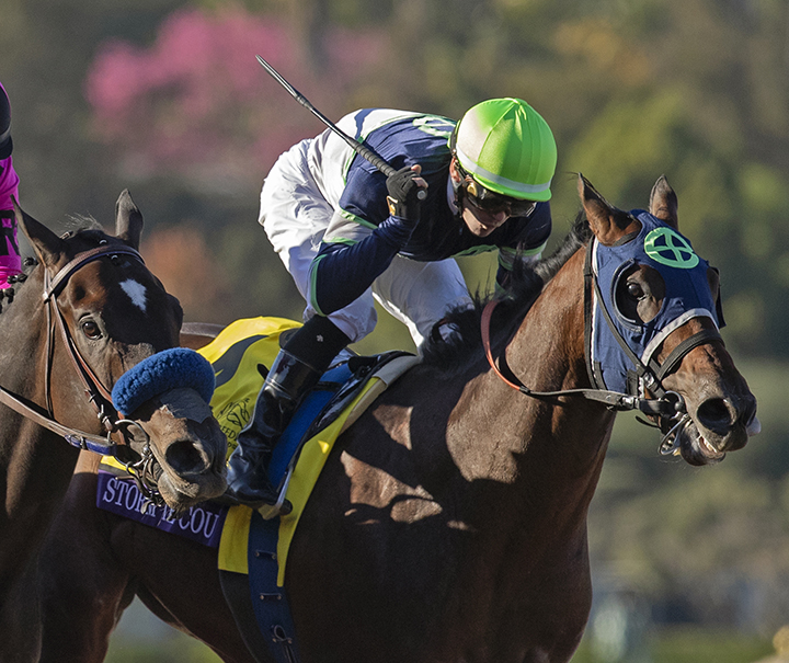 Storm the Court wins the 2019 Breeders Cup Juvenile at Santa Anita