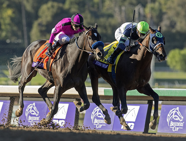 Anneau d'Or (left) finishes second in the Breeders' Cup Juvenile