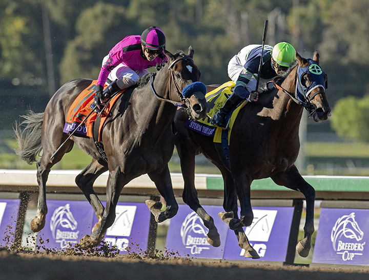 Anneau d'Or (left) finishes second in the Breeders' Cup Juvenile at Santa Anita Park