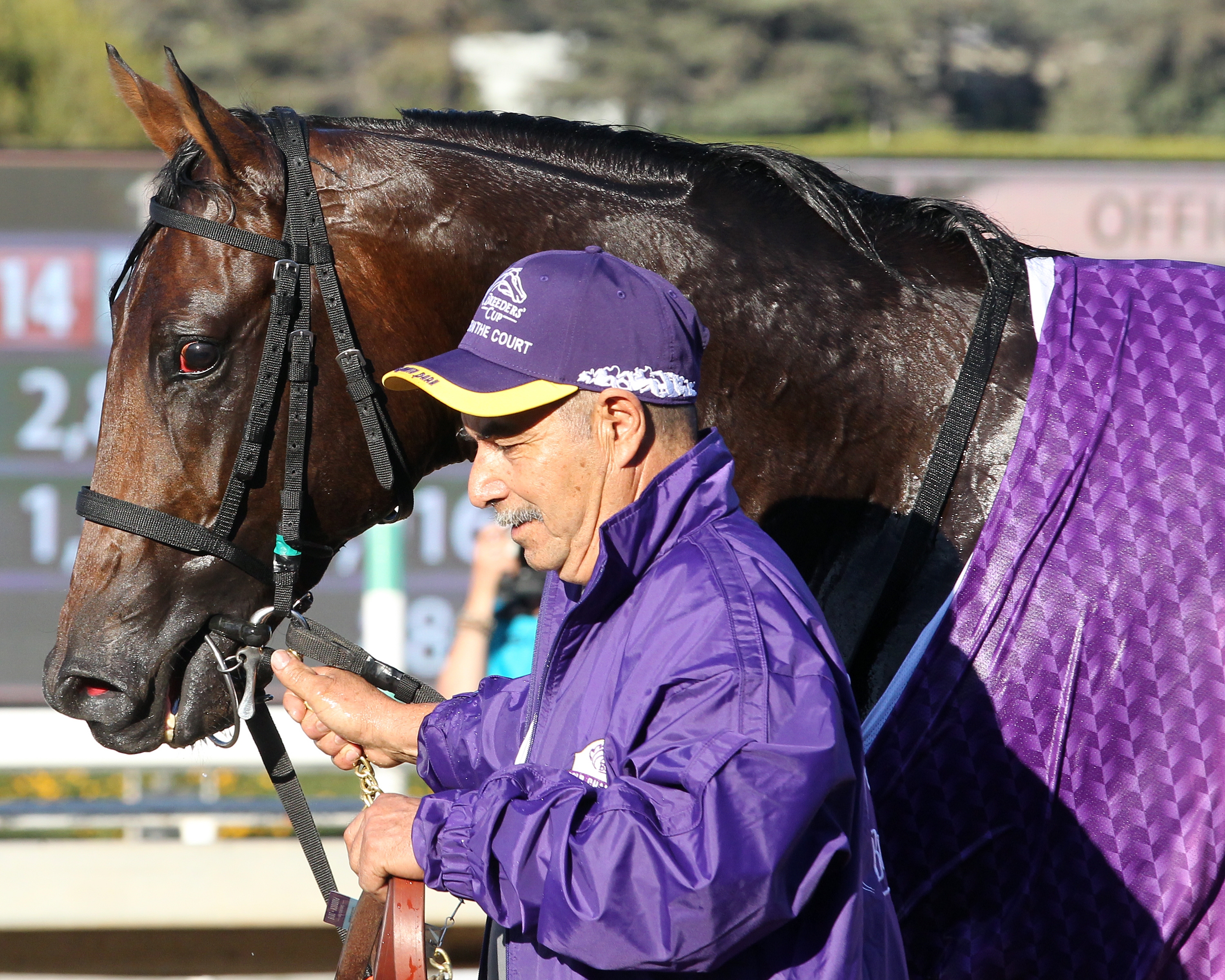 Storm the Court after winning the 2019 BC Juvenile