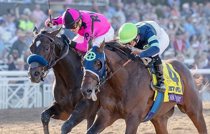 Storm the Court (right) wins the 2019 Breeders Cup Juvenile at Santa Anita