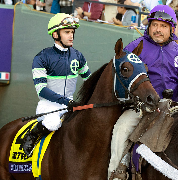Storm the Court at the 2019 Breeders' Cup at Santa Anita