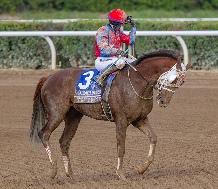 Street Band after finishing eighth in the 2019 Breeders' Cup Distaff