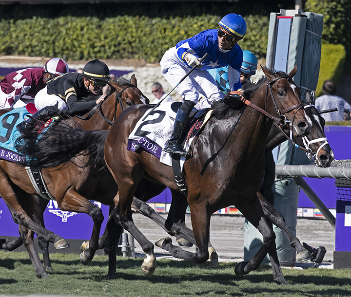 Structor wins the 2019 Breeders Cup Juvenile Turf