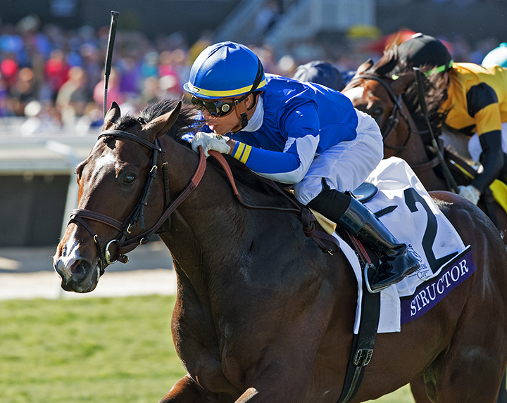 Structor wins the 2019 Breeders Cup Juvenile Turf