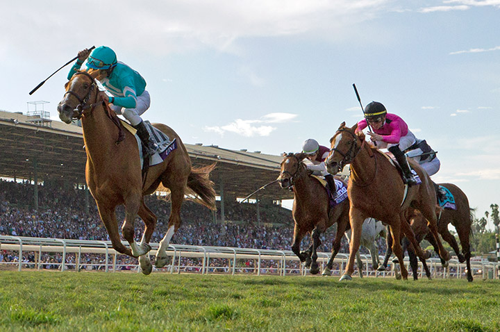 Uni wins the 2019 Breeders' Cup Mile at Santa Anita Park