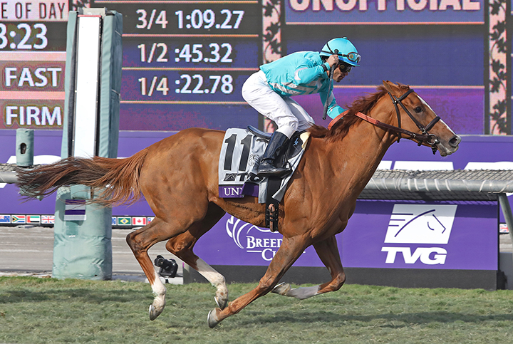 Uni wins the 2019 Breeders Cup Mile at Santa Anita Park