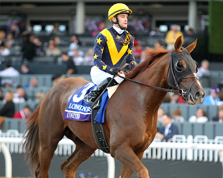 United after finishing second in the 2019 Breeders' Cup Turf at Santa Anita Park