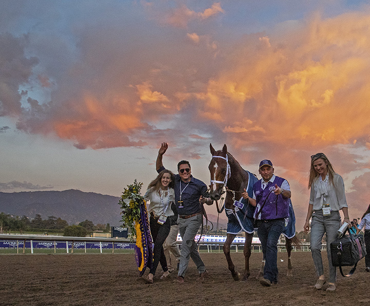 Vino Rosso after winning the Breeders Cup Classic at Santa Anita Park