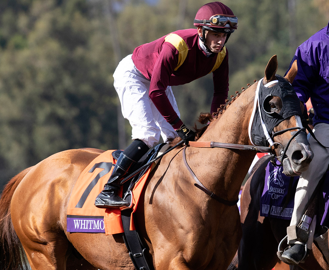 Whitmore at the 2019 Breeders' Cup Sprint