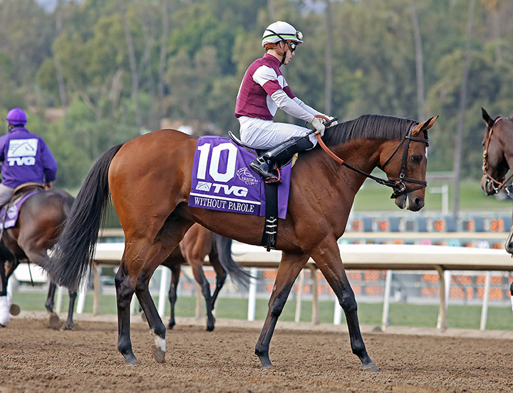 Without Parole at the 2019 Breeders' Cup Mile at Santa Anita Park