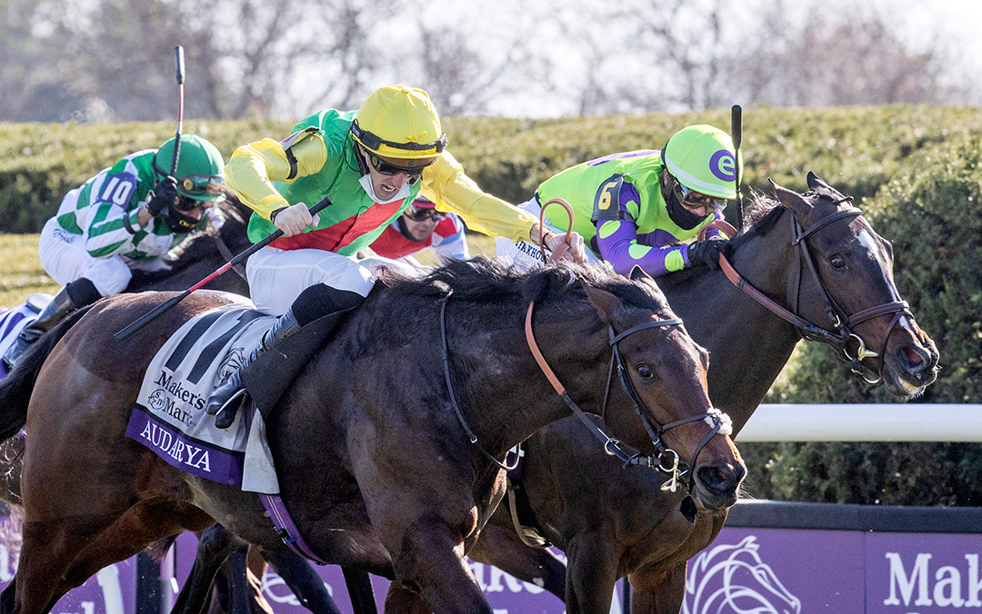 Audarya (left) wins the Breeders' Cup Filly and Mare Turf at Keeneland Racecourse
