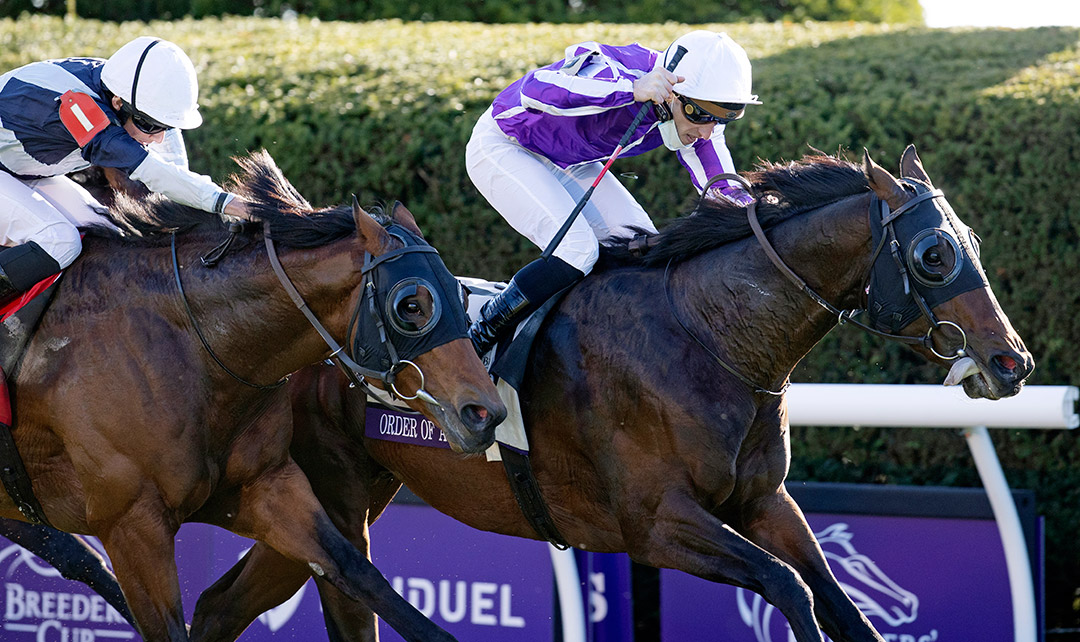 Order of Australia (right) wins the 2020 Breeders' Cup Mile at Keeneland