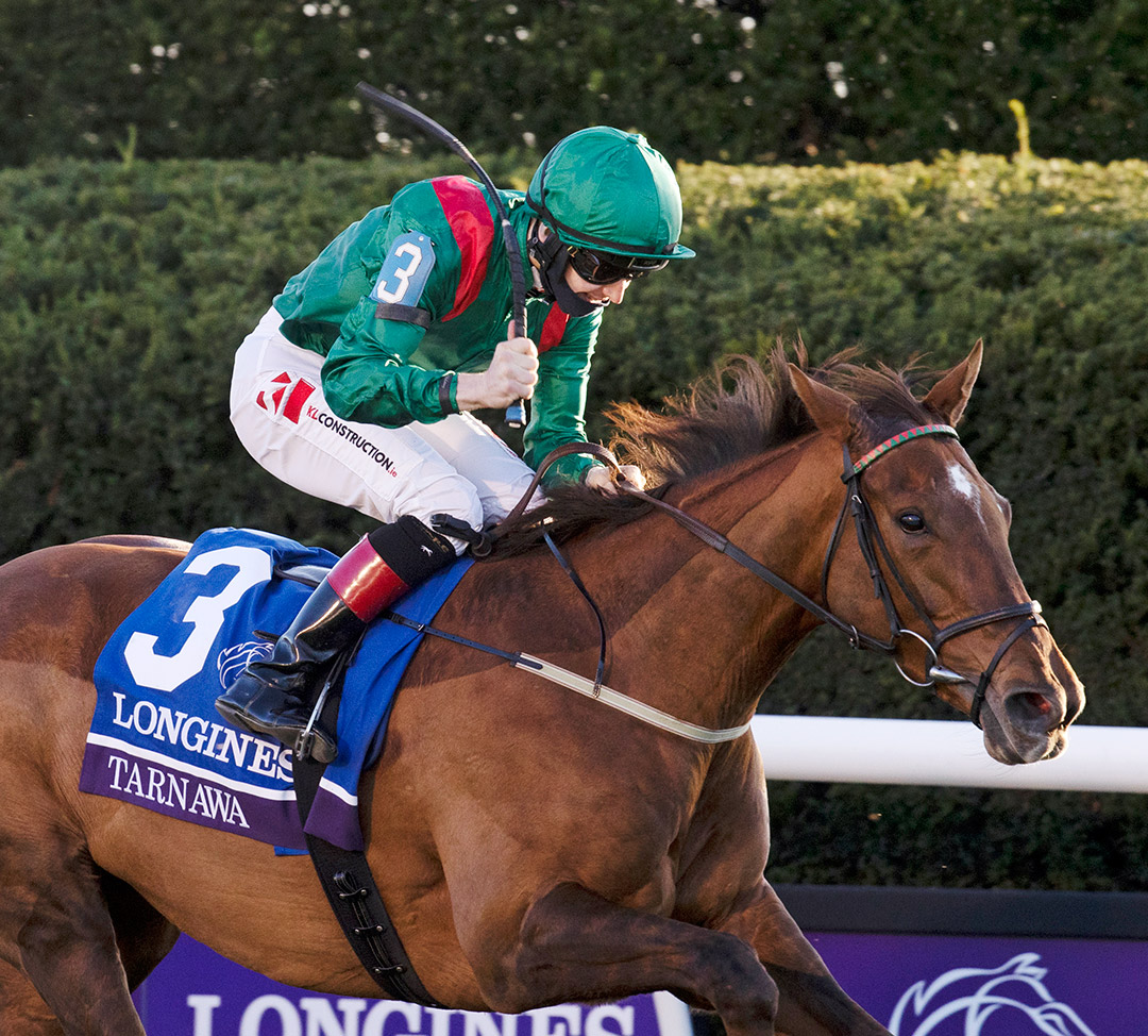 Tarnawa wins the 2020 Breeders' Cup Turf at Keeneland