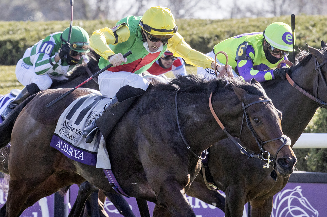 ECLIPSE turf female Audarya