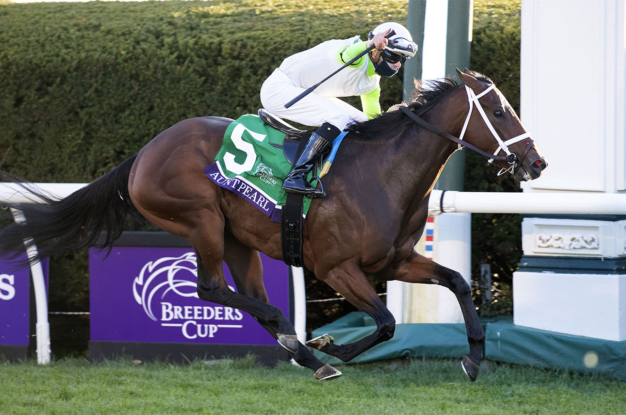 ECLIPSE 2yo filly Aunt Pearl