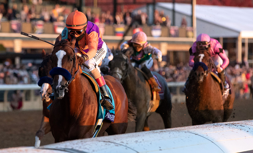Authentic wins the 2020 Breeders' Cup Classic at Keeneland Racecourse
