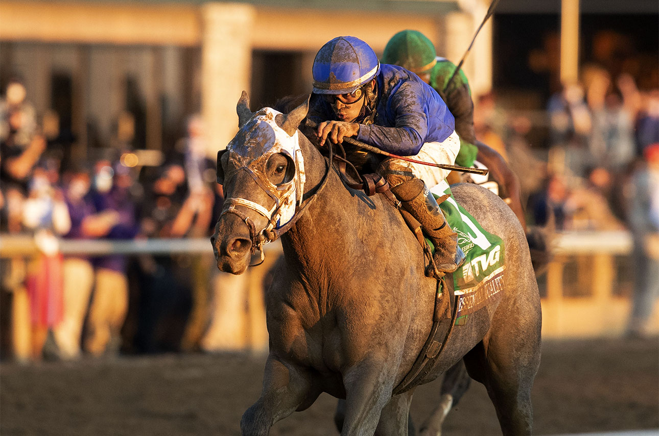 ECLIPSE 2yo male Essential Quality