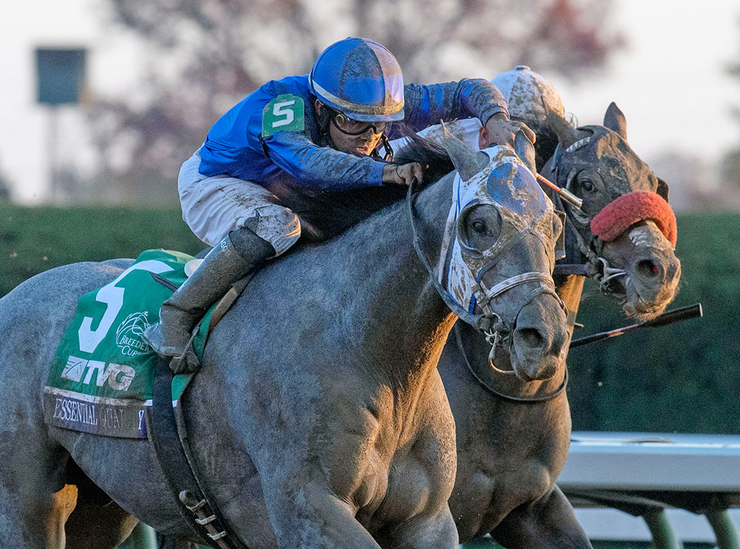 Essential Quality wins the 2020 Breeders' Cup Juvenile at Keeneland