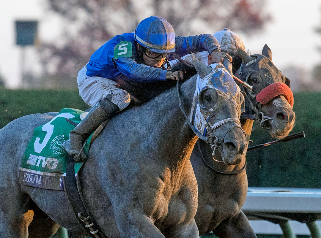 Essential Quality wins the 2020 Breeders' Cup Juvenile at Keeneland