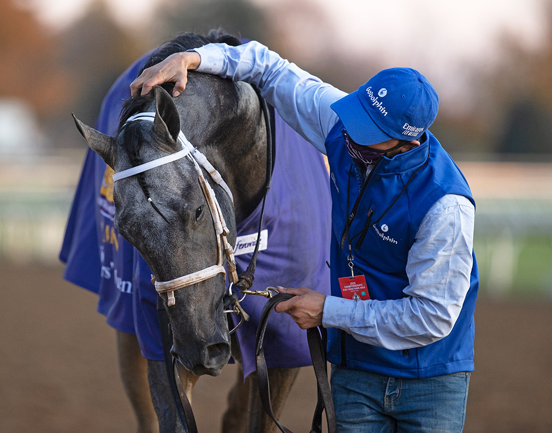 Essential Quality after winning the 2020 Breeders' Cup Juvenile at Keeneland