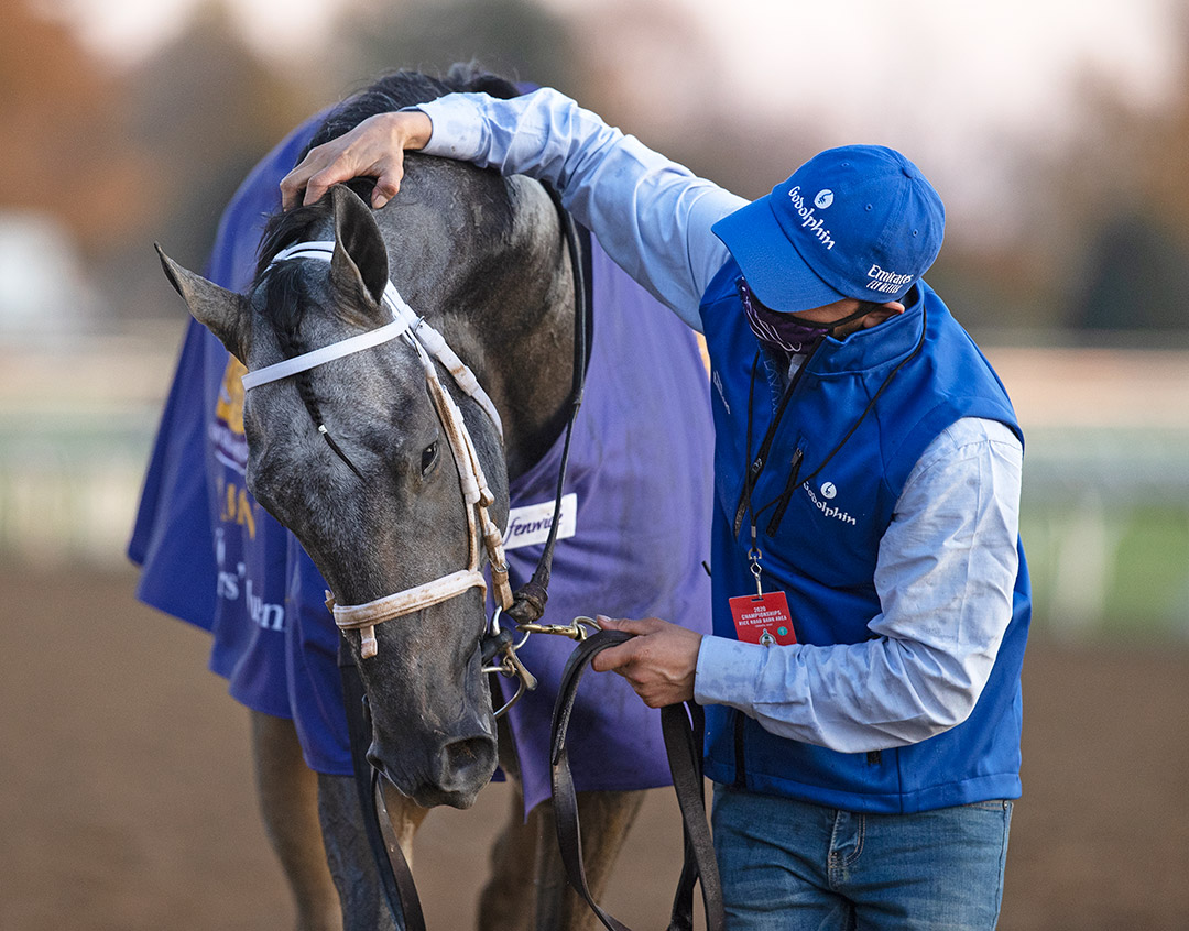 Essential Quality after winning the 2020 Breeders' Cup Juvenile at Keeneland