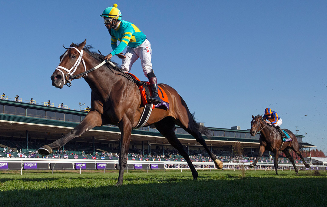 Fire At Will wins the Breeders' Cup Juvenile Turf at Keeneland
