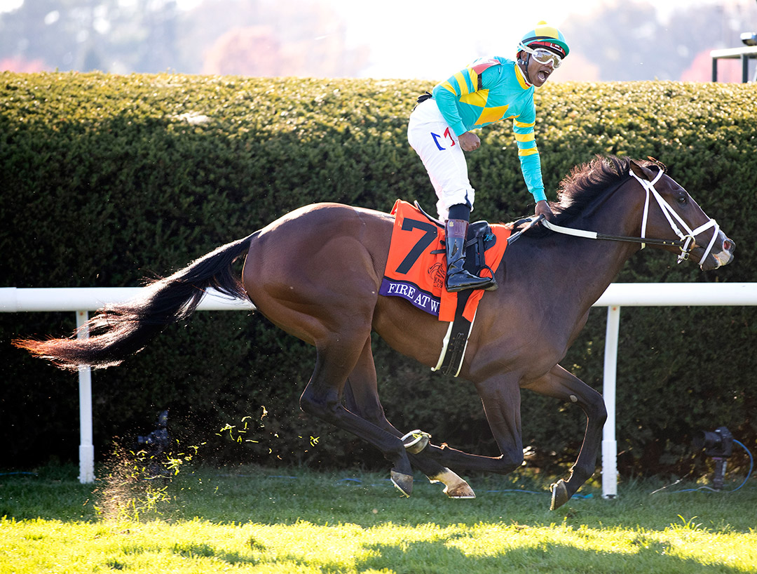 Fire At Will wins the 2020 Breeders' Cup Juvenile Turf at Keeneland
