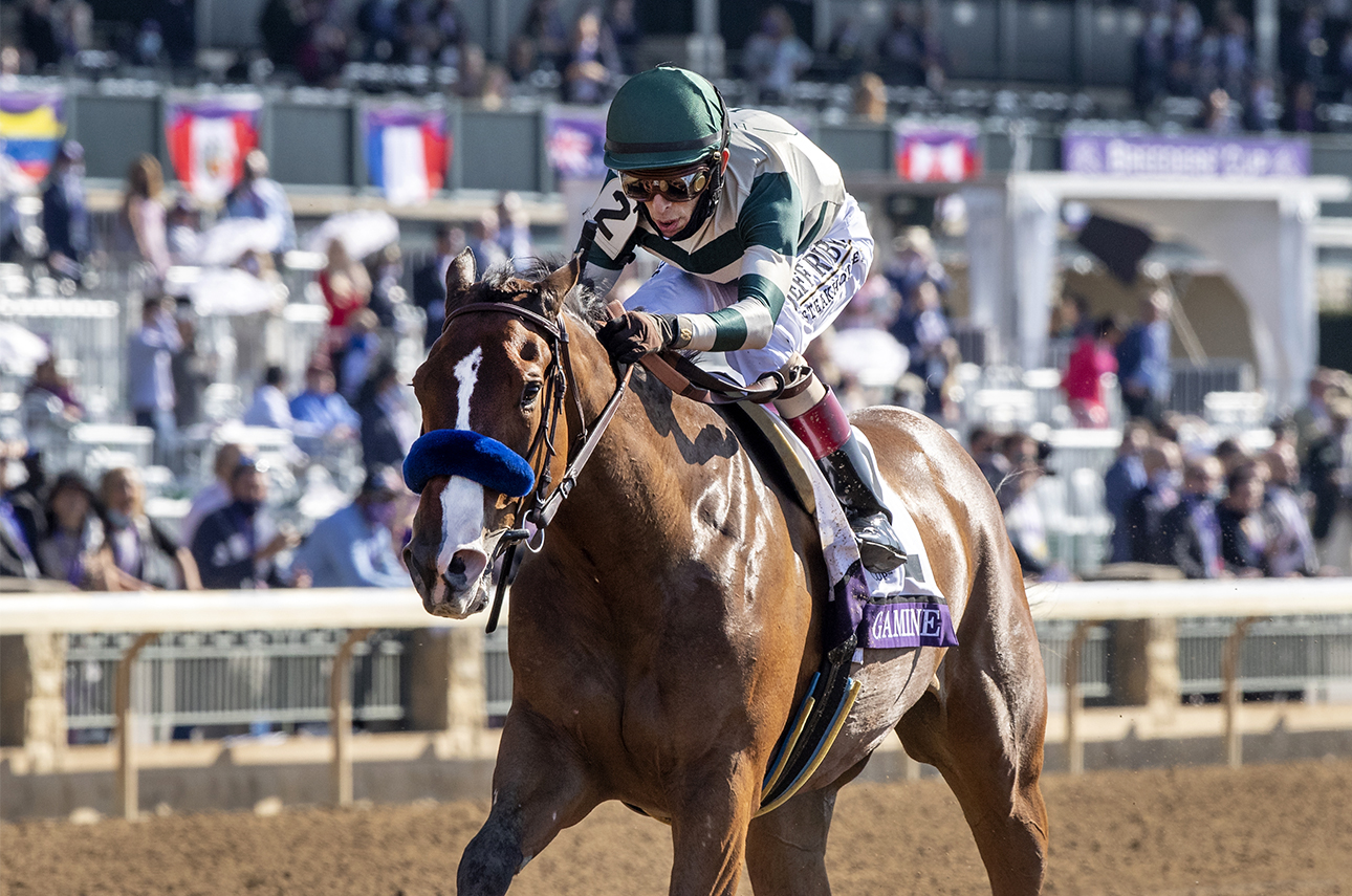 ECLIPSE sprinter female Gamine