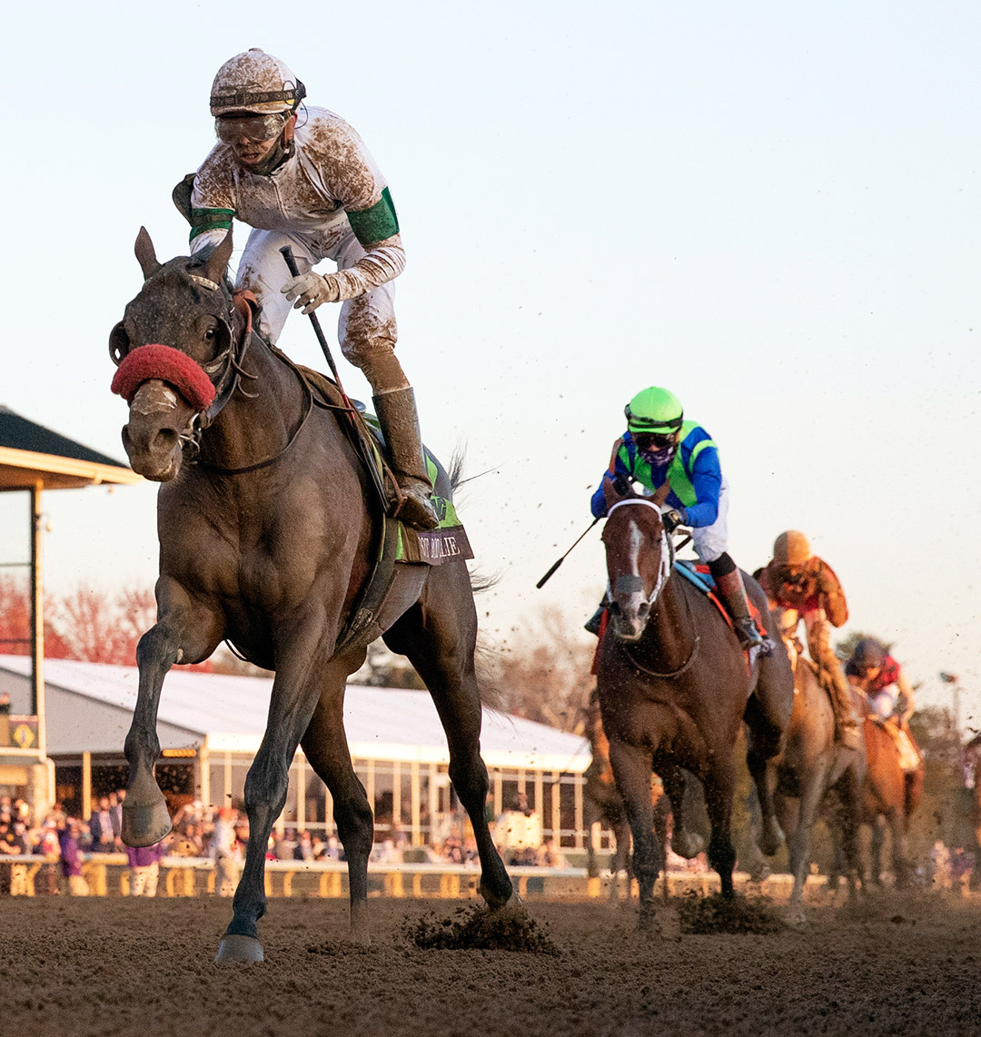 Hot Rod Charlie finishes second in the 2020 Breeders' Cup Juvenile at Keeneland