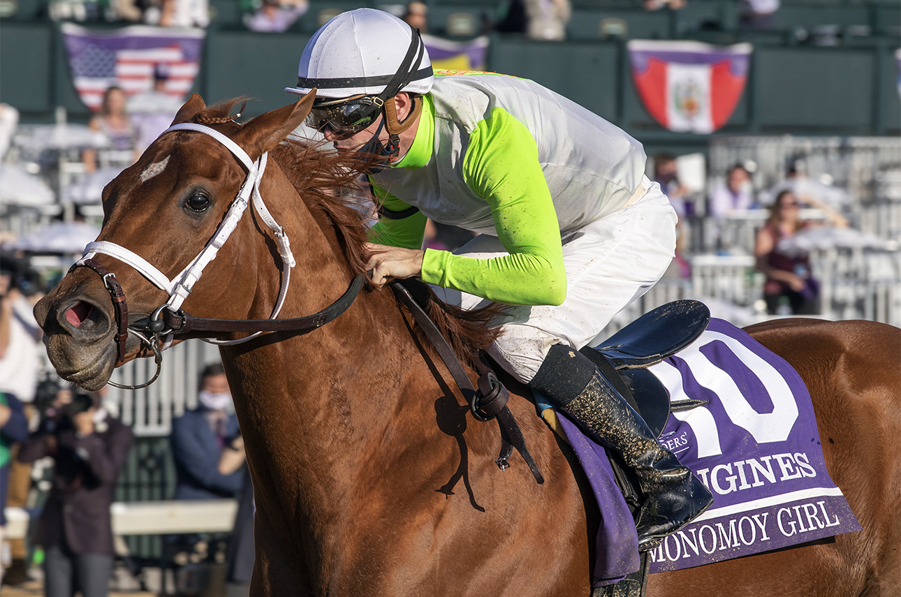 ECLIPSE older dirt female Monomoy Girl