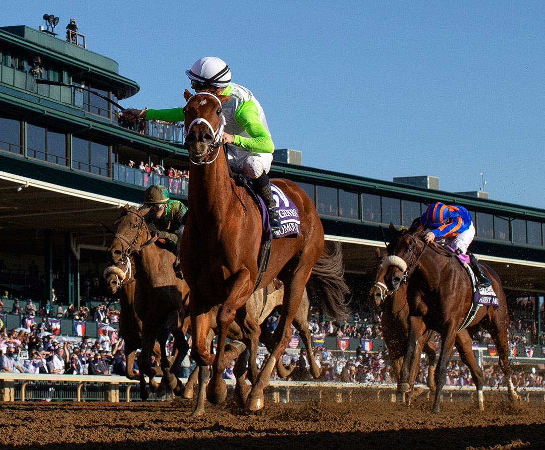 Monomoy Girl/Distaff 2020