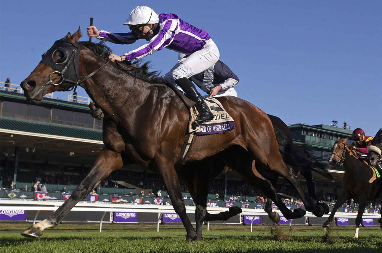 ECLIPSE turf male Order of Australia