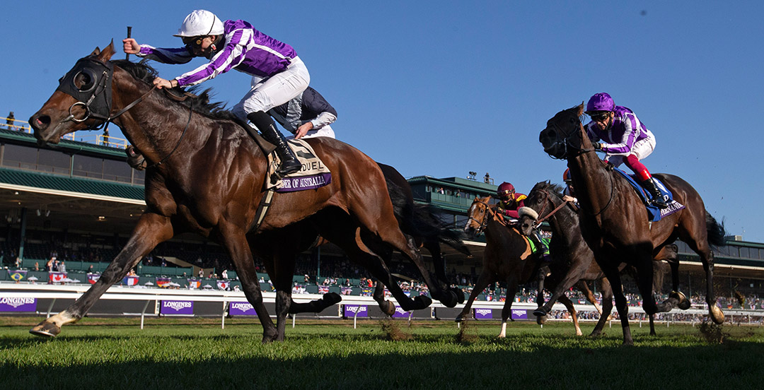 Order of Australia wins the 2020 Breeders' Cup Mile at Keeneland Racecourse