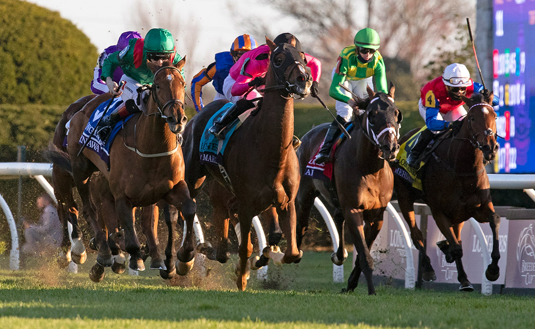 Tarnawa (far left) wins the 2020 Breeders' Cup Turf at Keeneland Racecourse