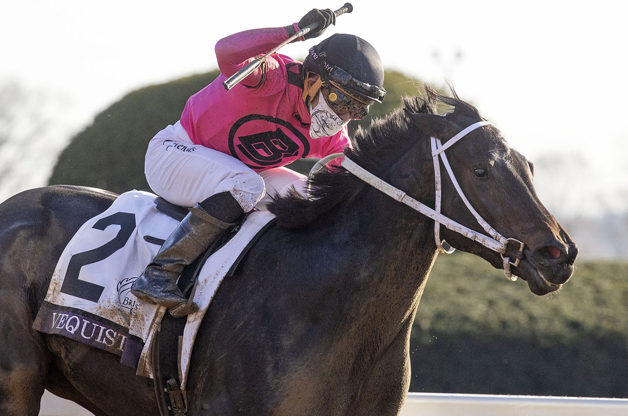 ECLIPSE 2yo filly Vequist