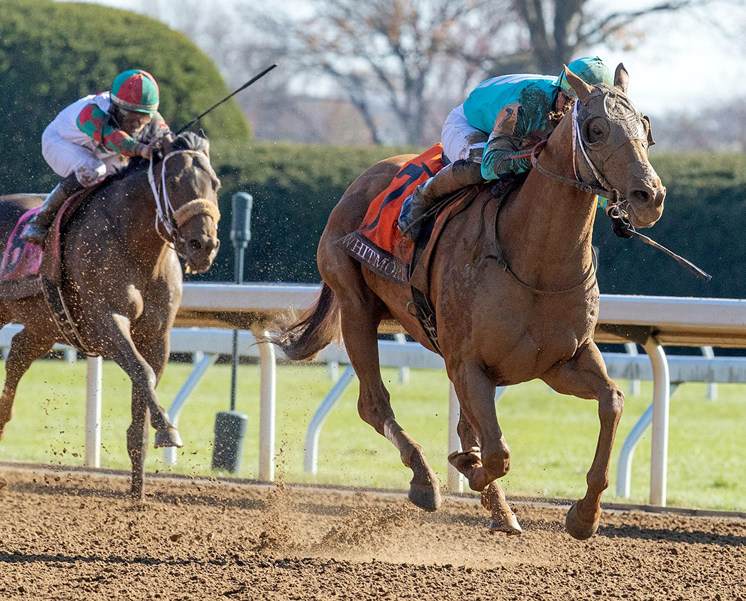 Whitmore wins the 2020 Breeders' Cup Sprint at Keeneland Racecourse
