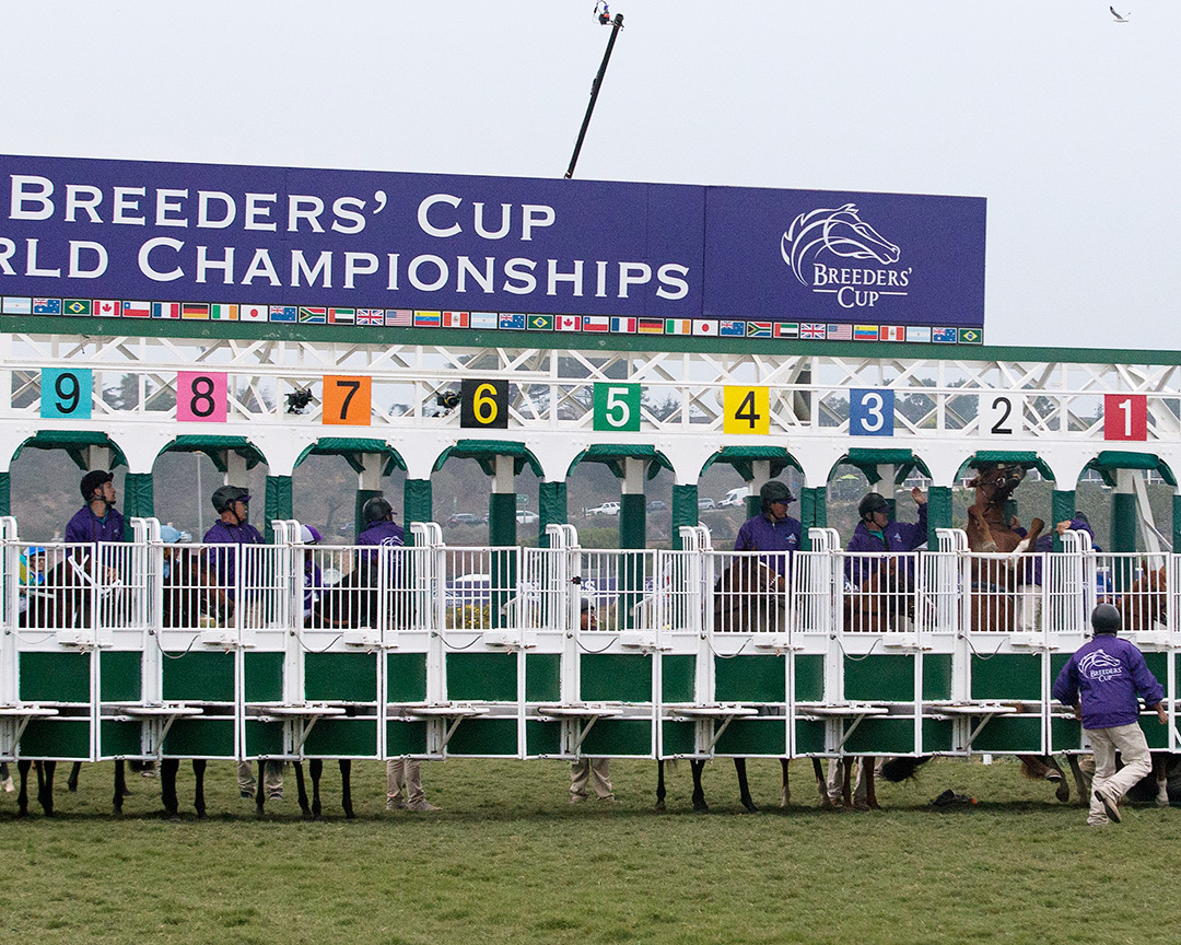 Albahr rears up in the gate before the start of the Breeders' Cup Juvenile Turf at Del Mar