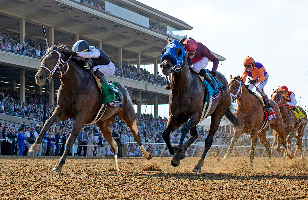 Dr. Schivel (right) finishes second in the 2021 Breeders' Cup Sprint