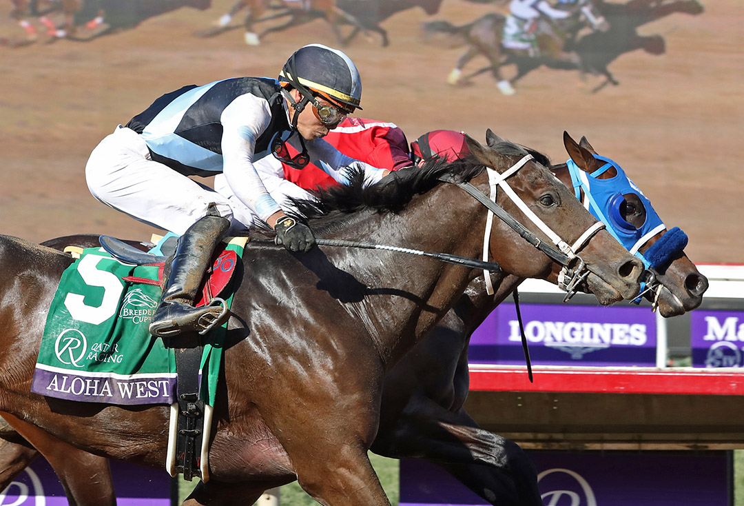 Aloha West wins the 2021 Breeders' Cup Sprint at Del Mar