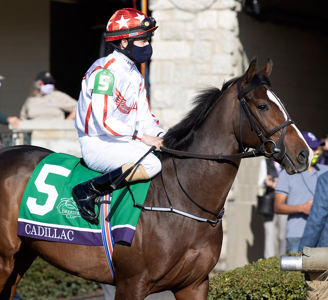 Cadillac at the 2020 Breeders' Cup Juvenile Turf at Keeneland