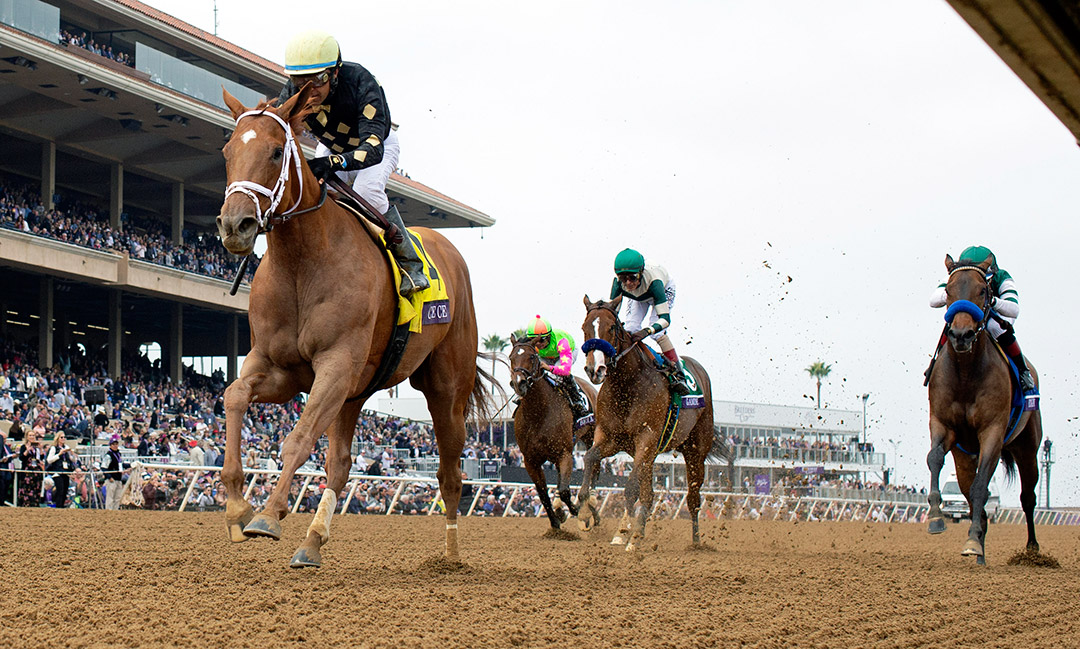 Ce Ce wins the 2021 Breeders' Cup Filly and Mare Sprint at Del Mar