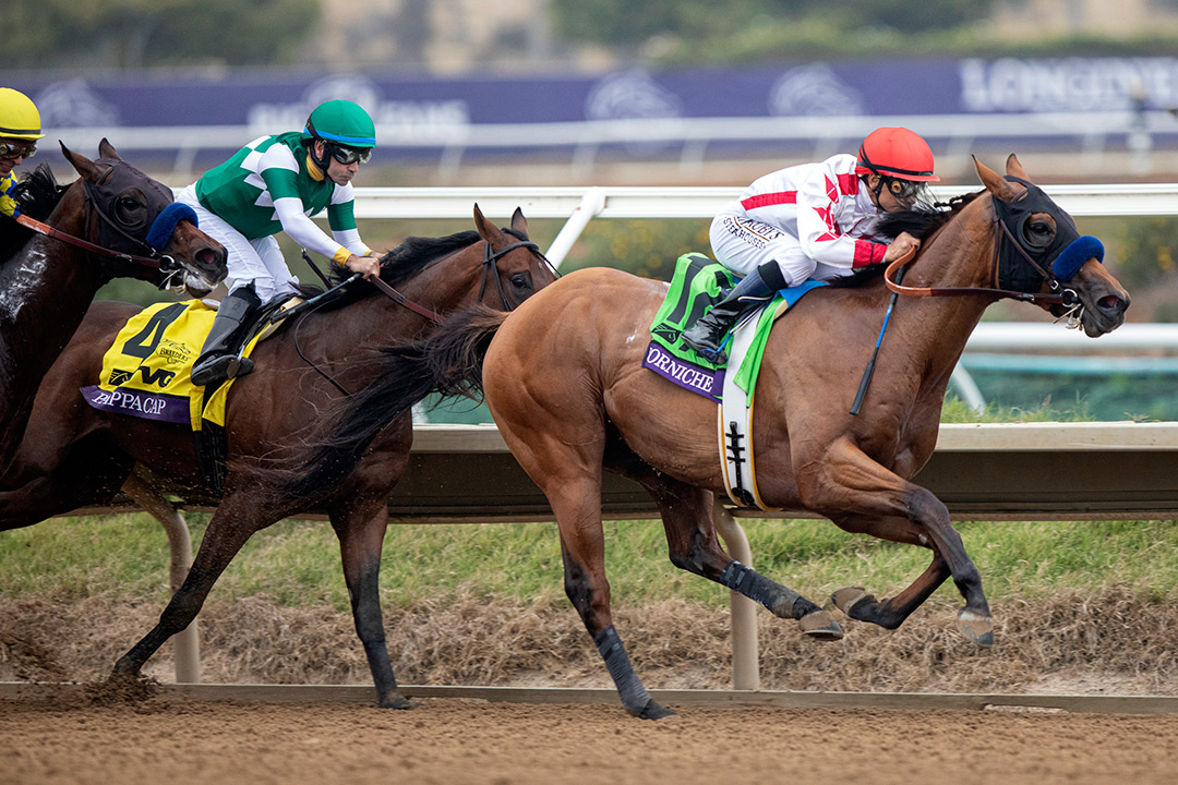 Corniche wins the 2021 Breeders' Cup Juvenile at Del Mar