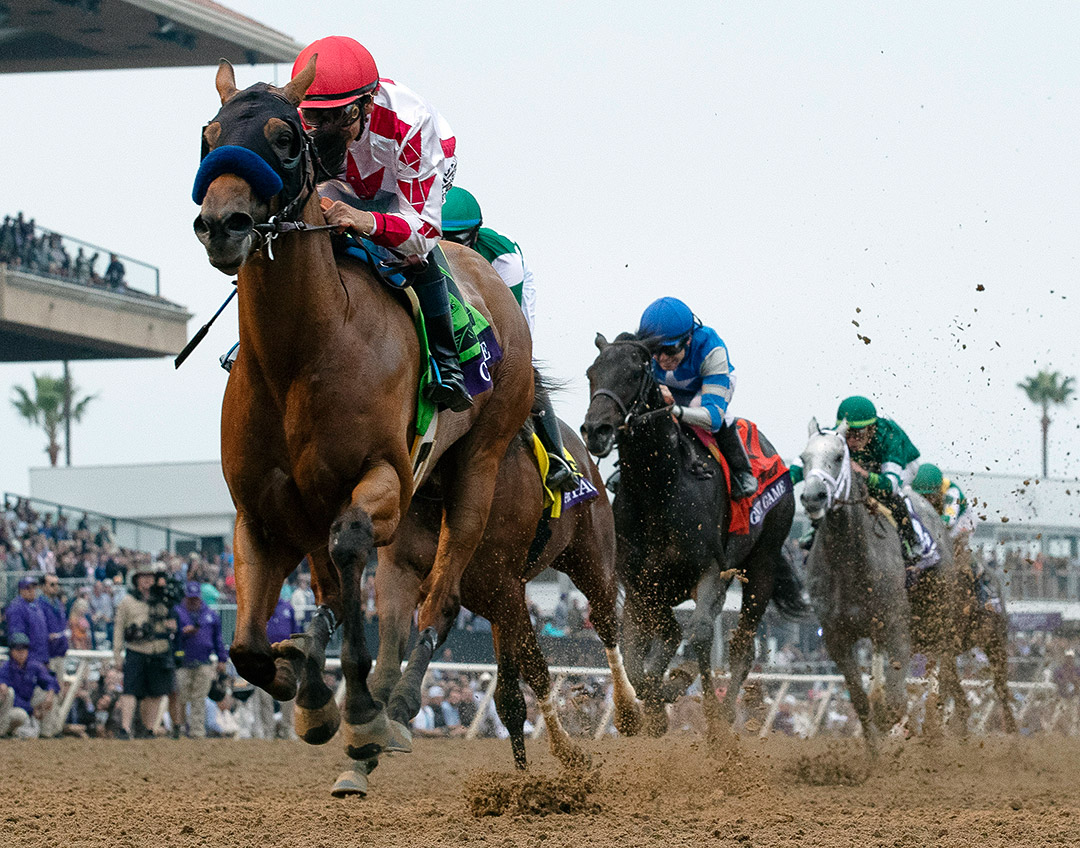 Corniche wins the 2021 Breeders' Cup Juvenile at Del Mar