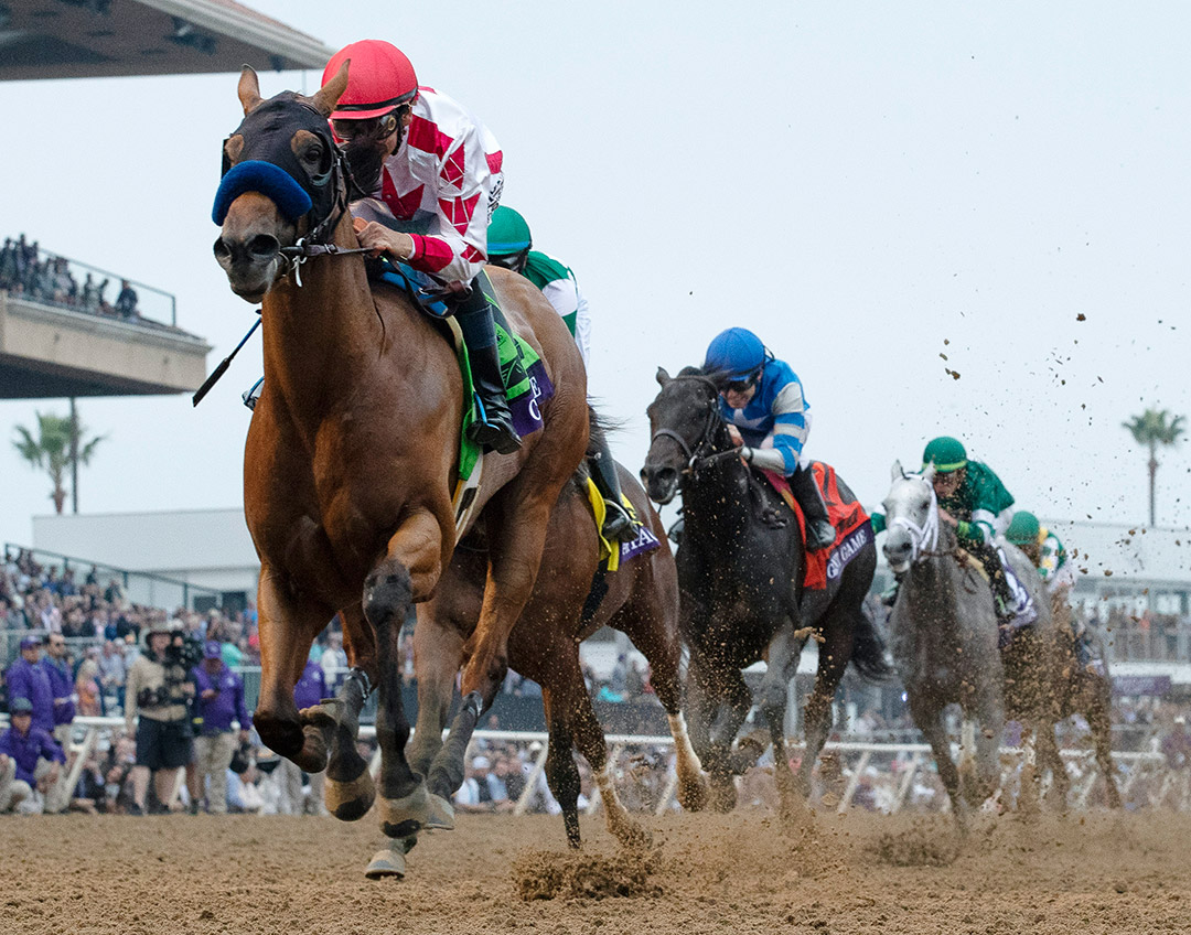 Corniche wins the 2021 Breeders' Cup Juvenile at Del Mar