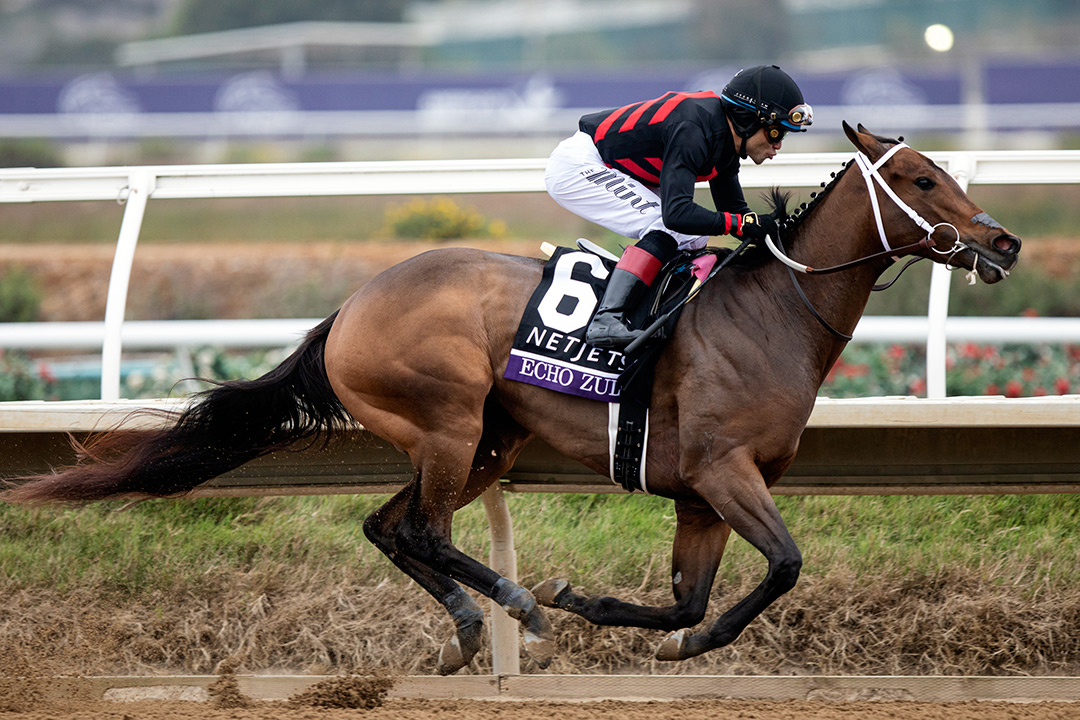 Echo Zulu wins the 2021 Breeders' Cup Juvenile Fillies at Del Mar